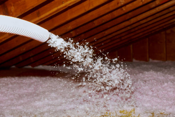 Best Insulation Maintenance and Repair in Fussels Corner, FL