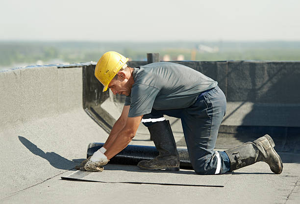 Best Commercial Insulation in Fussels Corner, FL